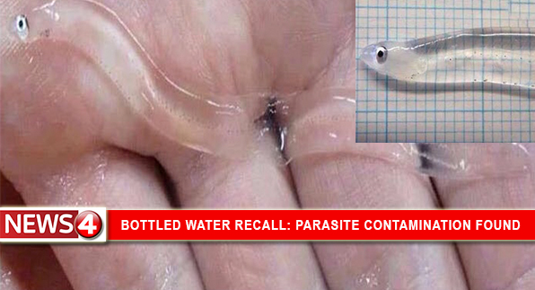 Coca-Cola Recalls Dasani Water After Clear Parasite Worm Was Found In Bottles Across U.S.