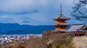 What You Should Know About Traveling to Japan Now that Airbnb Laws Are Changing 