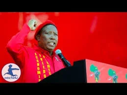 Julius Malema's We Need a United States of Africa Speech
