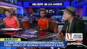 Greg Palast on MSNBC AM Joy on Voter Purging
