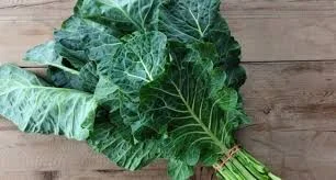 Health Benefits of Collard Greens | Life well lived