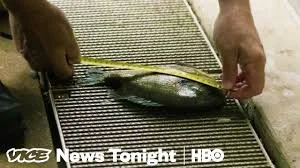 We Hired An Underwater Drone Operator To Inspect Chicago's Trump Tower (HBO)