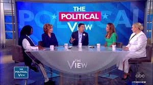 Andrew Yang on The View 