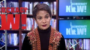 “The First Cell”: Dr. Azra Raza on Why the “Slash-Poison-Burn Approach” to Cancer Has Failed