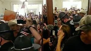 Chaos In Idaho As Anti-Masker Ammon Bundy &amp; His Followers Storm State’s House of Representatives