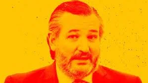 Ted Cruz Used Campaign Funds to Hawk Book Online