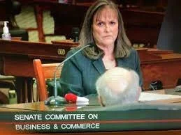 Besieged Chairwoman of Texas’ Top Utility Regulator Resigns In Wake of State Power Outages