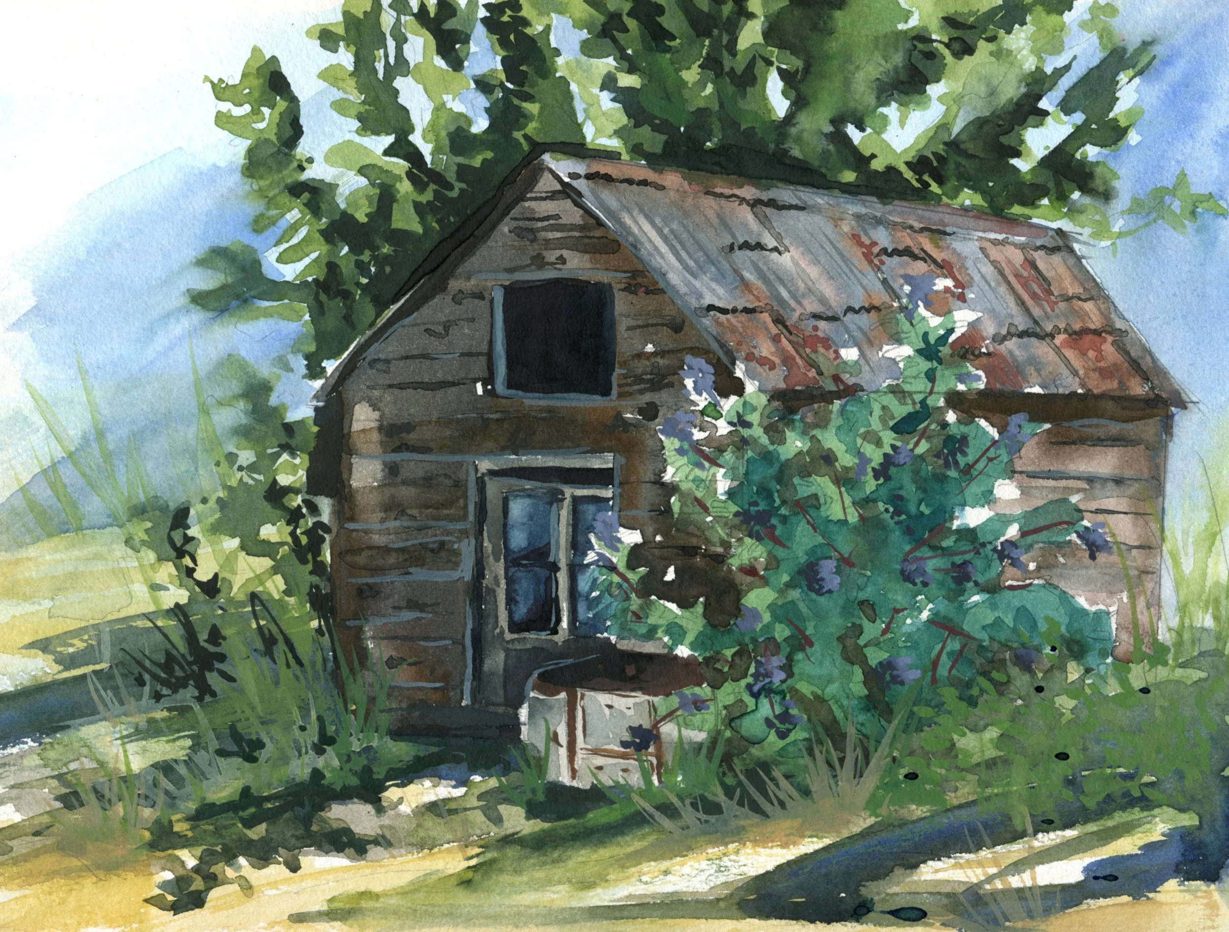 chicken coop.jpg