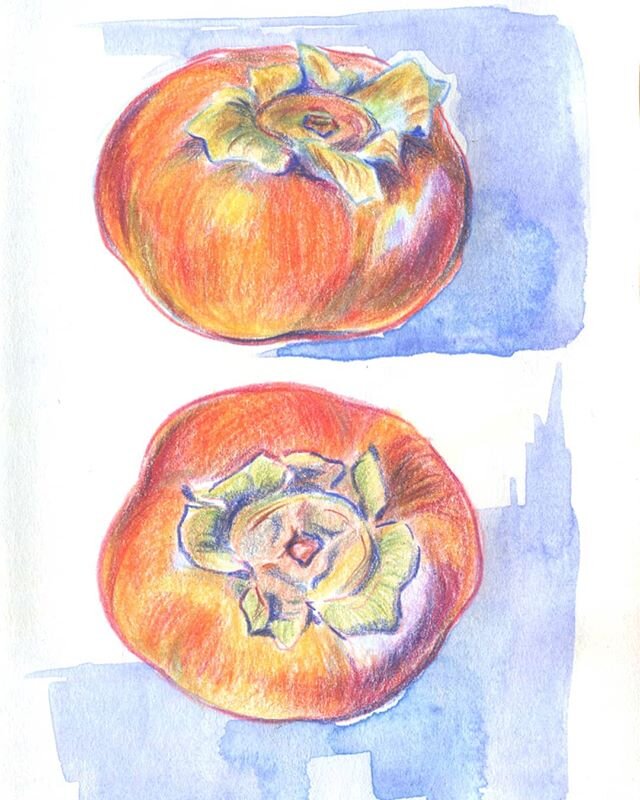Hello everyone! Here are some studies I did of persimmons last December in color pencil. Orange is tricky!
.
I also wanted to give you all a heads up: I'm taking an Instagram break for a month to do a creative reset. If you want to contact me, please