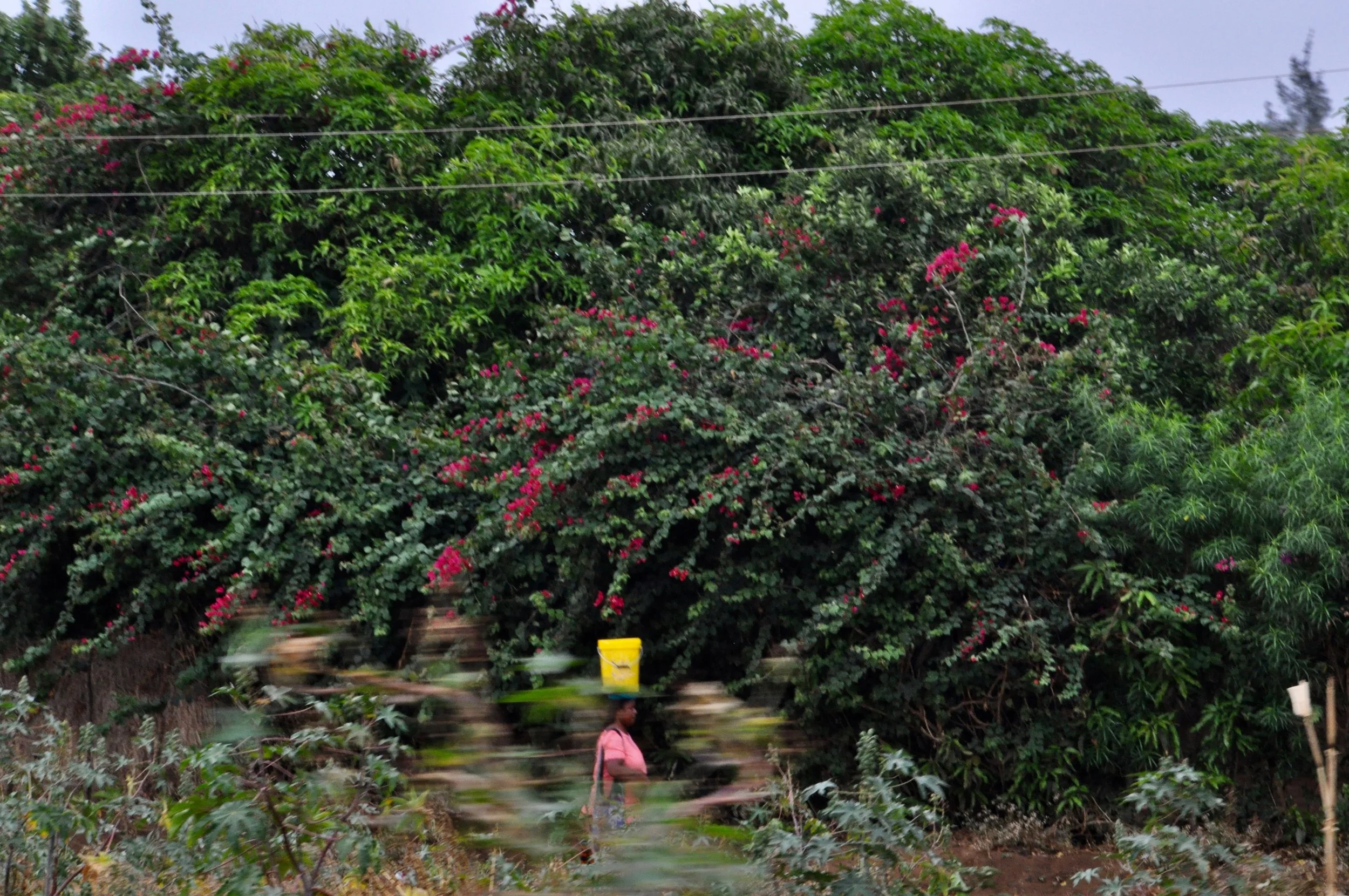 DSC_0139.jpg