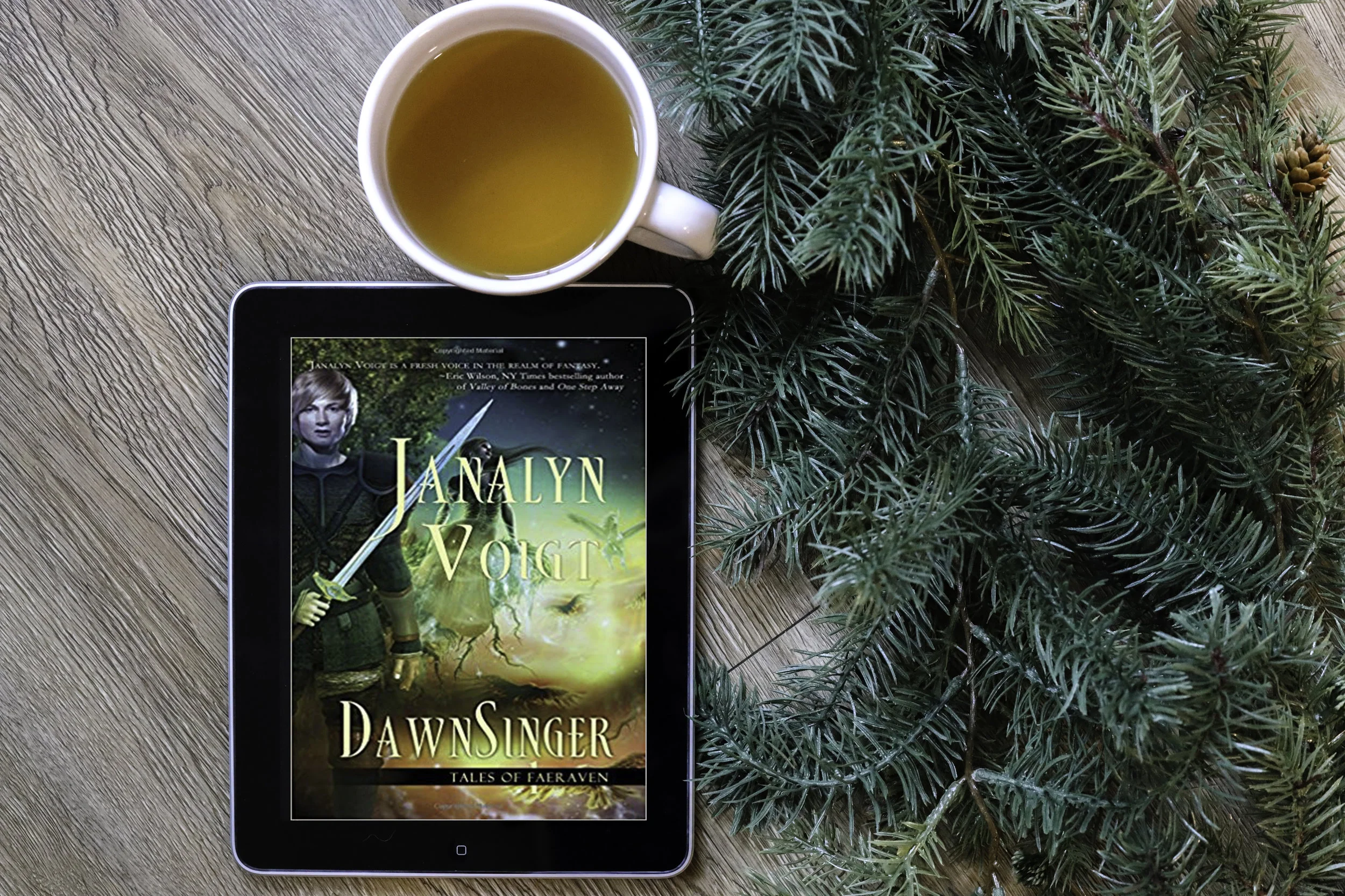 Book Review Dawnsinger Janalyn Voigt