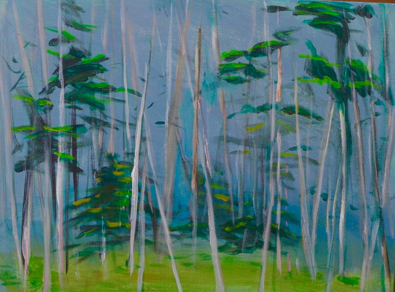 Birch Tree Forest (Acrylic on canvas 12”x16”