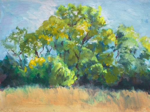 Land’s Edge (Acrylic on Canvas) 16”x12
