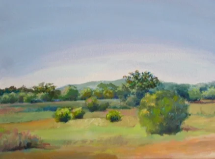 Southwest Field (Acrylic on Canvas) 16”x12”.jpeg