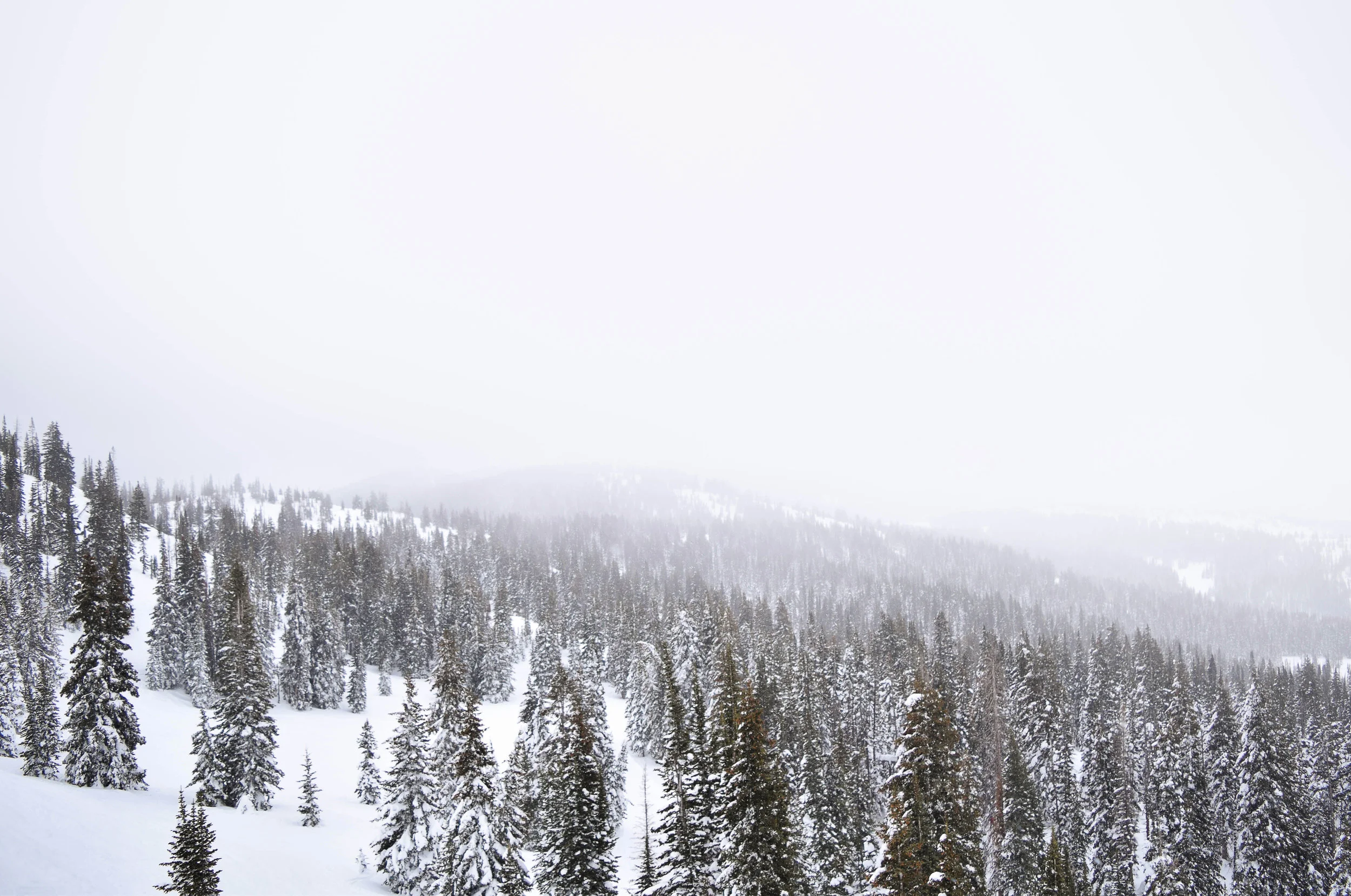 DSC_0127.jpg