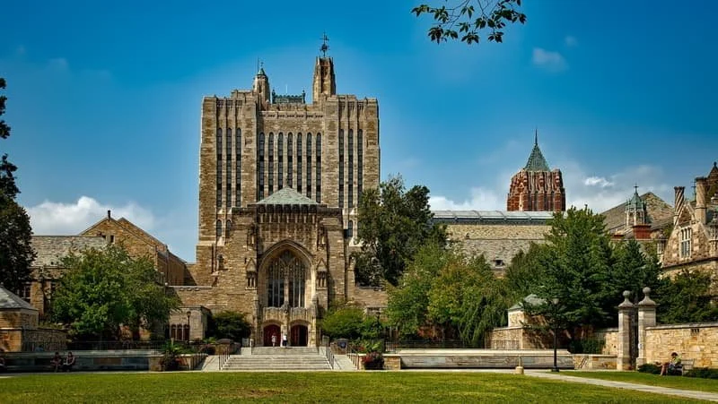Where Success Begins: Discover the Best Pre-Law Schools in the USA