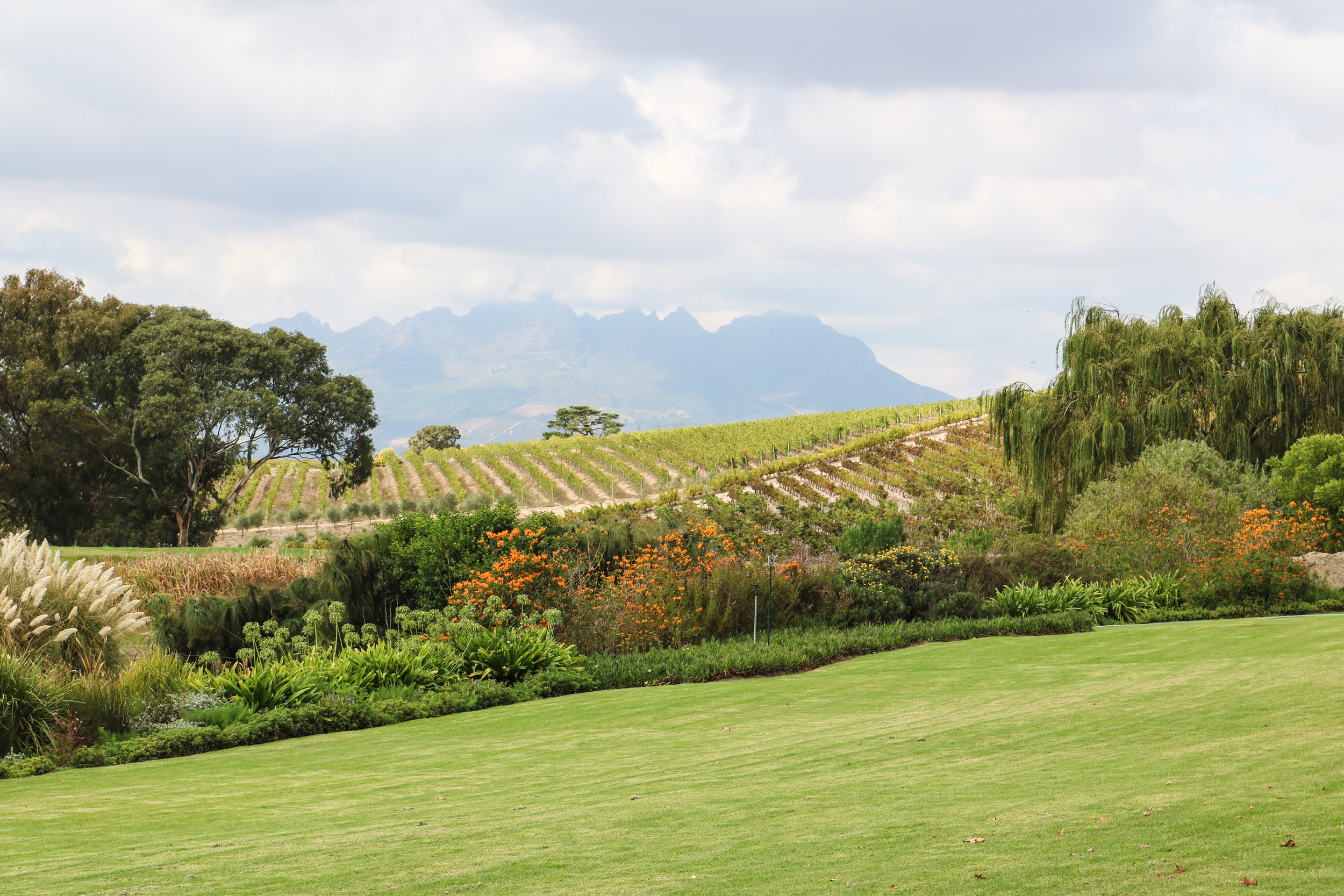 Choosing which Wineries to Visit in Stellenbosch, South Africa — The Tripographer picture
