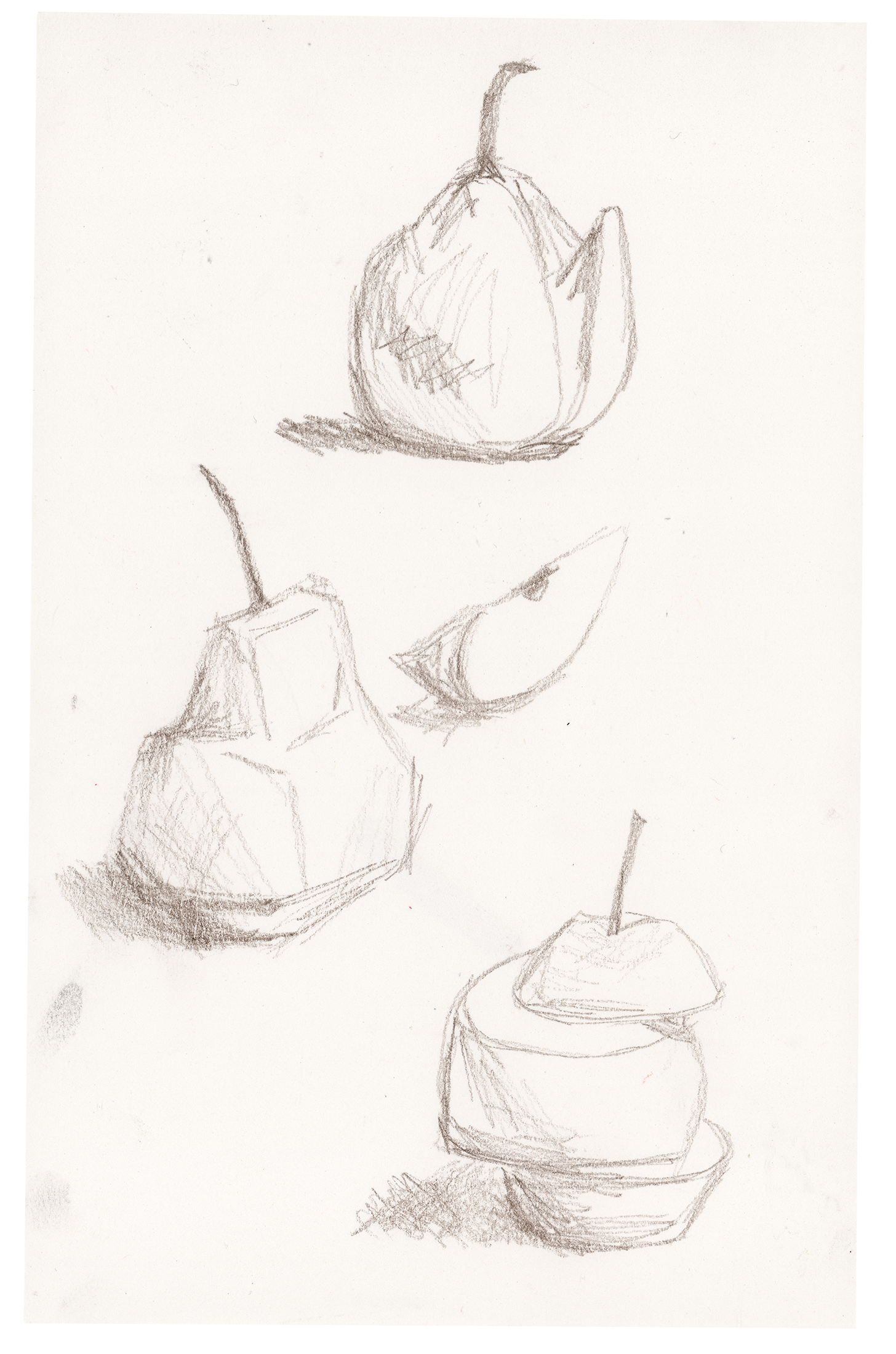 pencil on paper, 2023