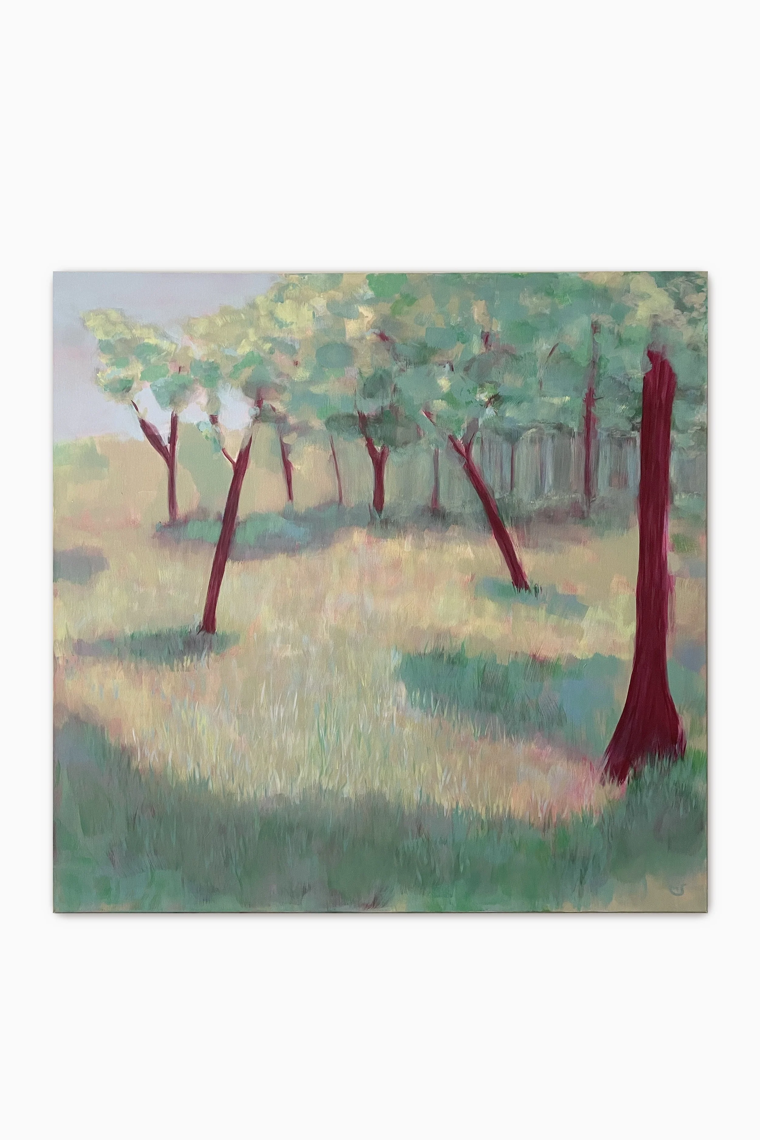moment for a meadow.jpg