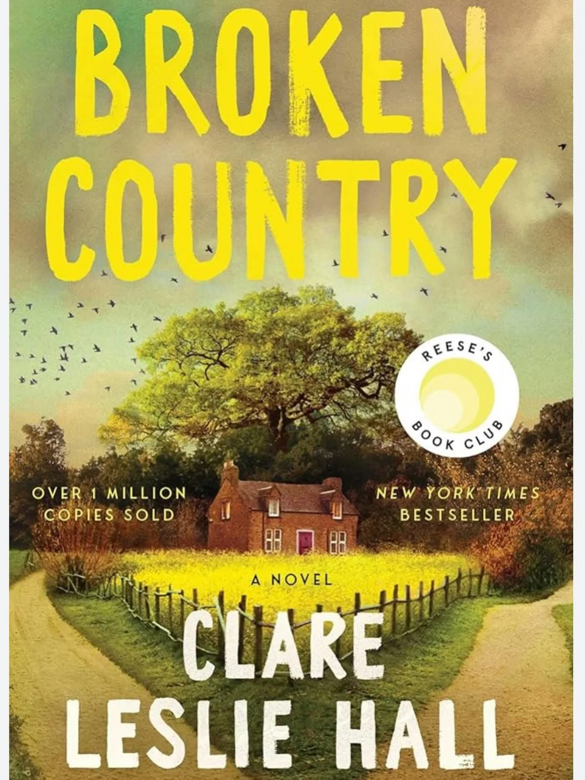Book 2: Broken Country by Clare Leslie Hall ⭐️⭐️⭐️

A murder, a lifetime of secrets, and the tragedies that shape relationships and decisions drive this well-written narrative. It was entertaining but I think the motivation behind character actions d