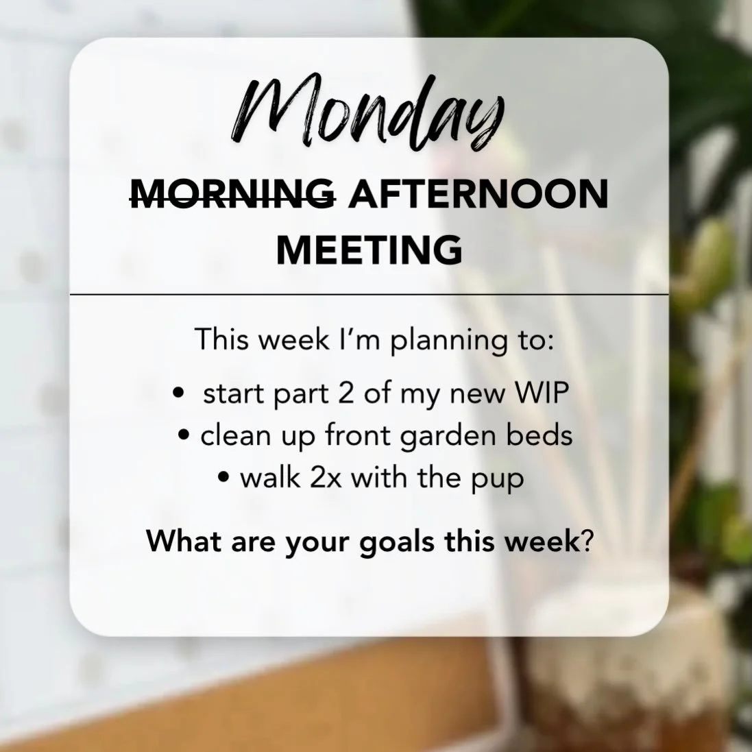 Well I guess Monday afternoon is starting to be a thing for me. I blame daylight savings. 😂☀️⏱️ This week I need to buckle down and start in on part 2 (of 3) for my new WIP. It felt good to finish the first act but now I need to resist the urge to e