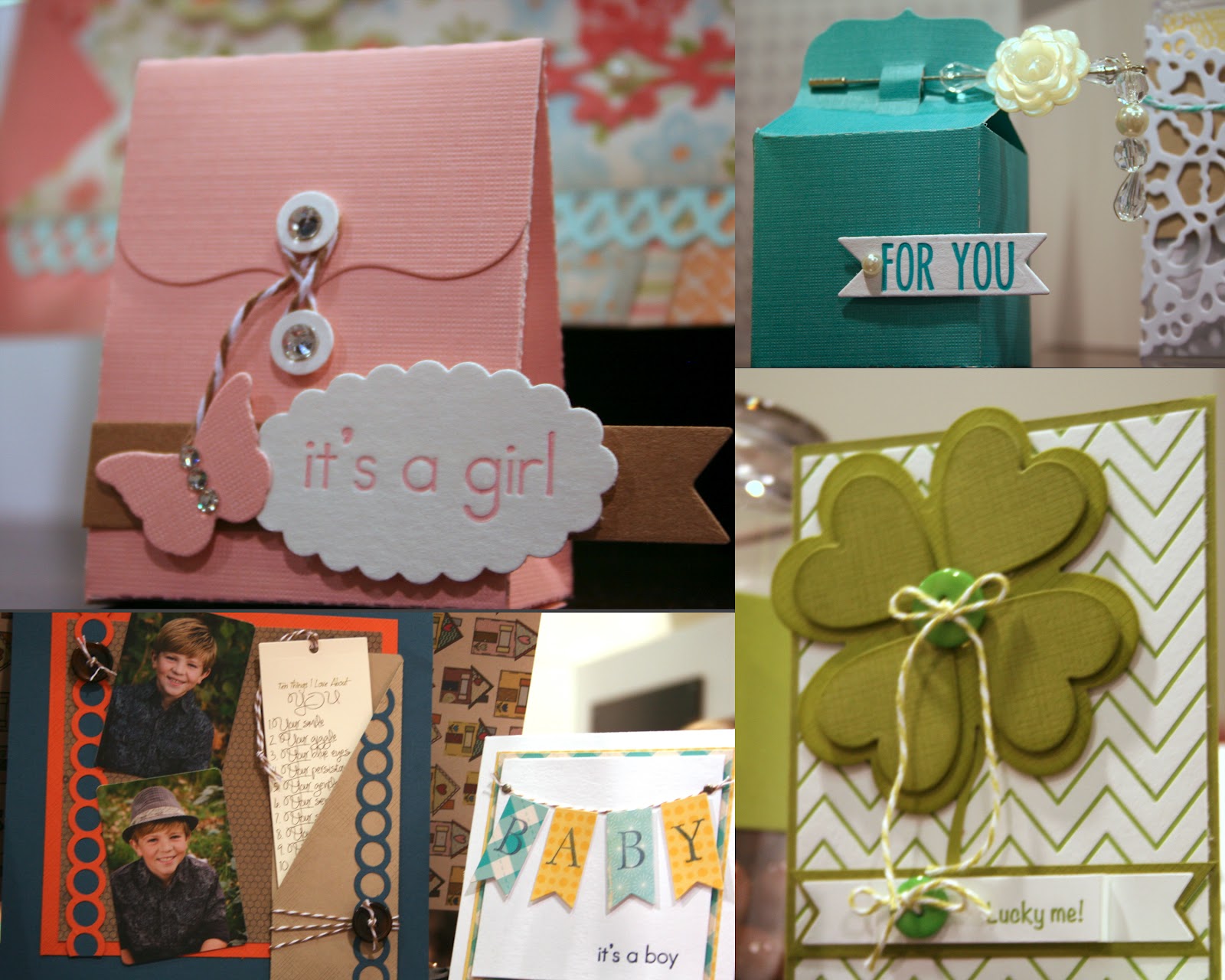 CHA HighlightsMyProjectsOnDisplay_edited-1.jpg