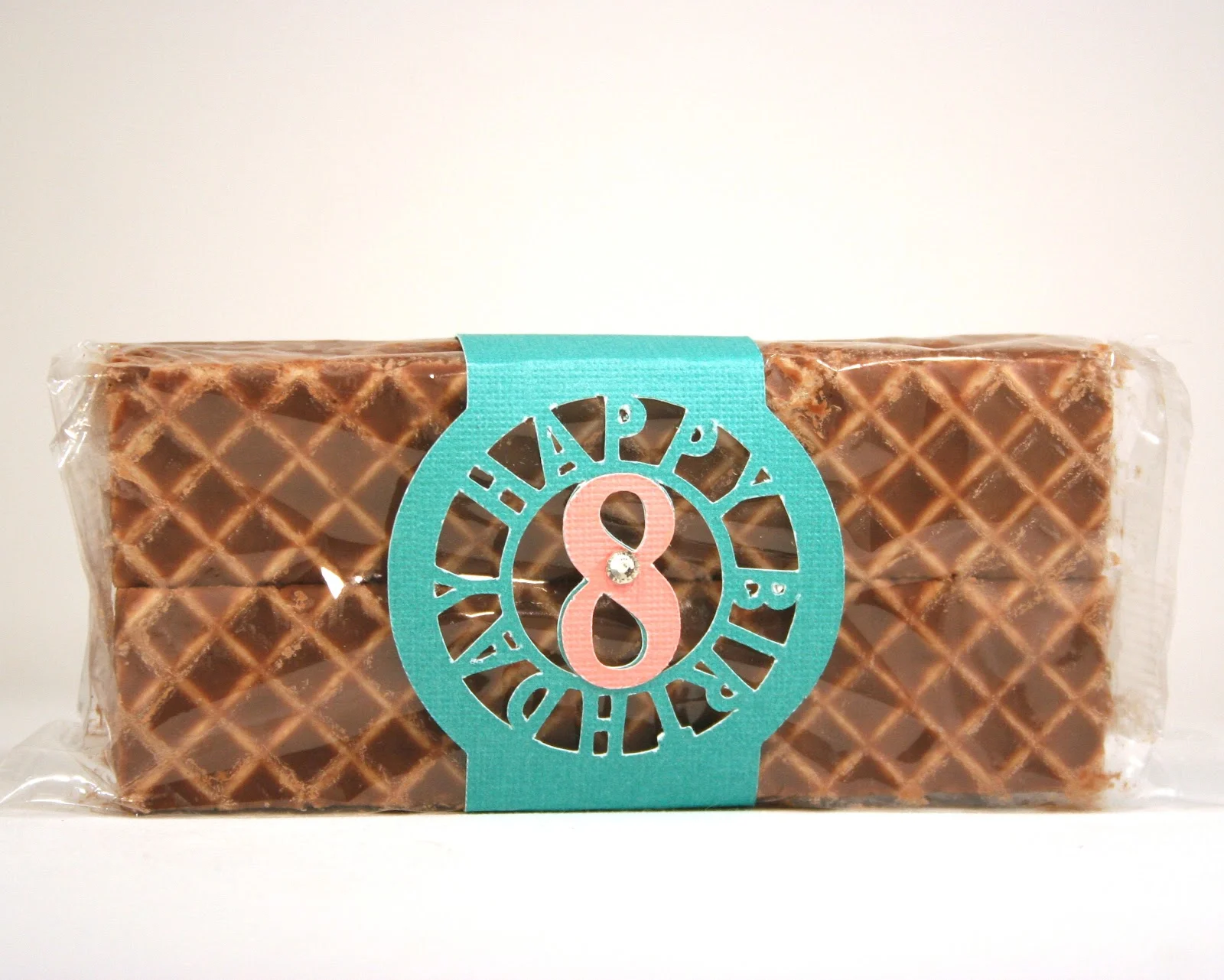 BellyBand 010 (1).jpg