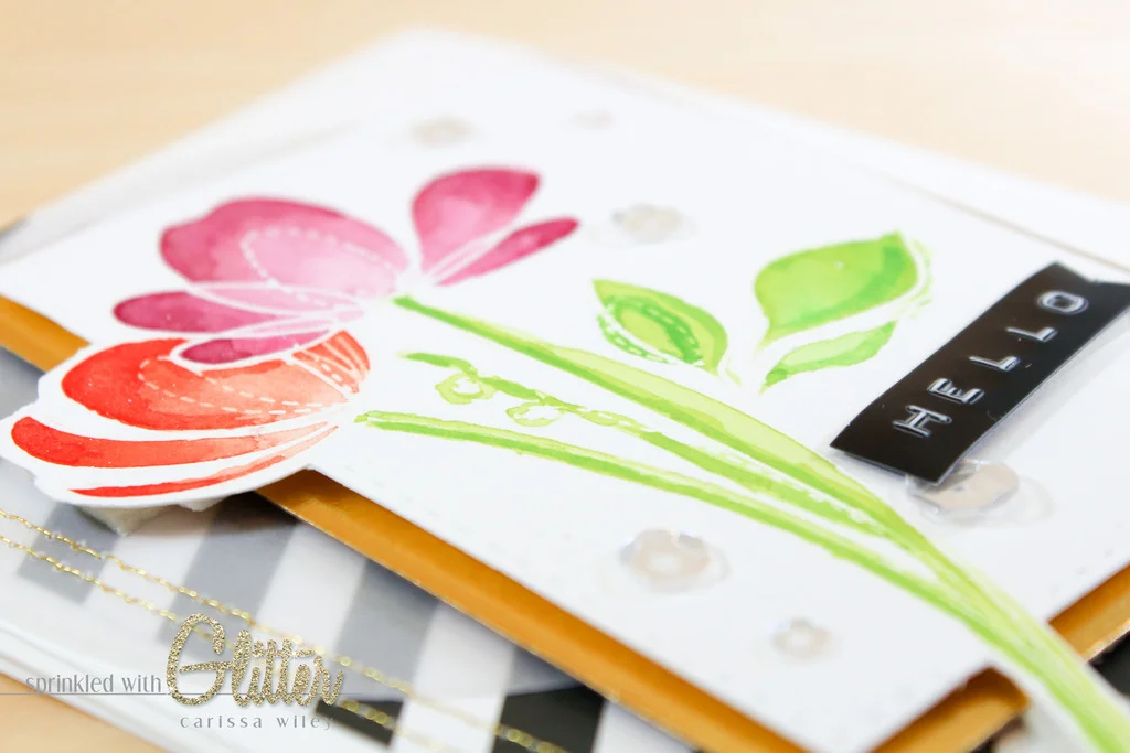 SSS Reason To Smile Finals Watermark-39_zpsqzlqga1d.jpg