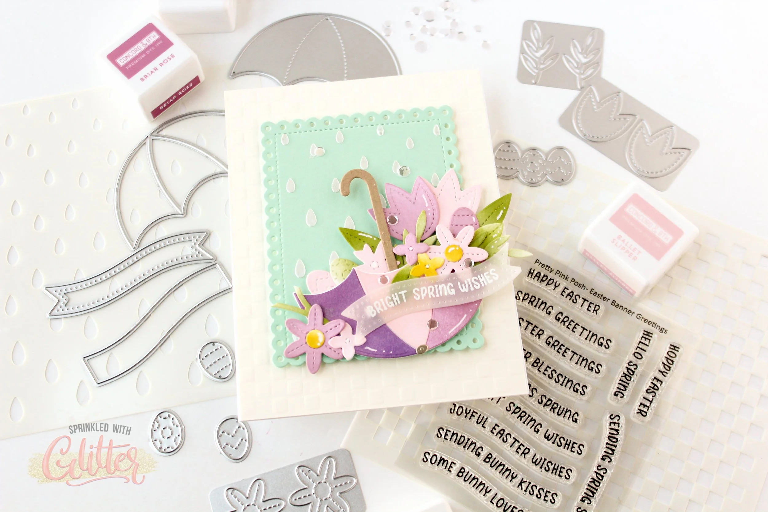 PPP Feb 26 WM-12.jpg