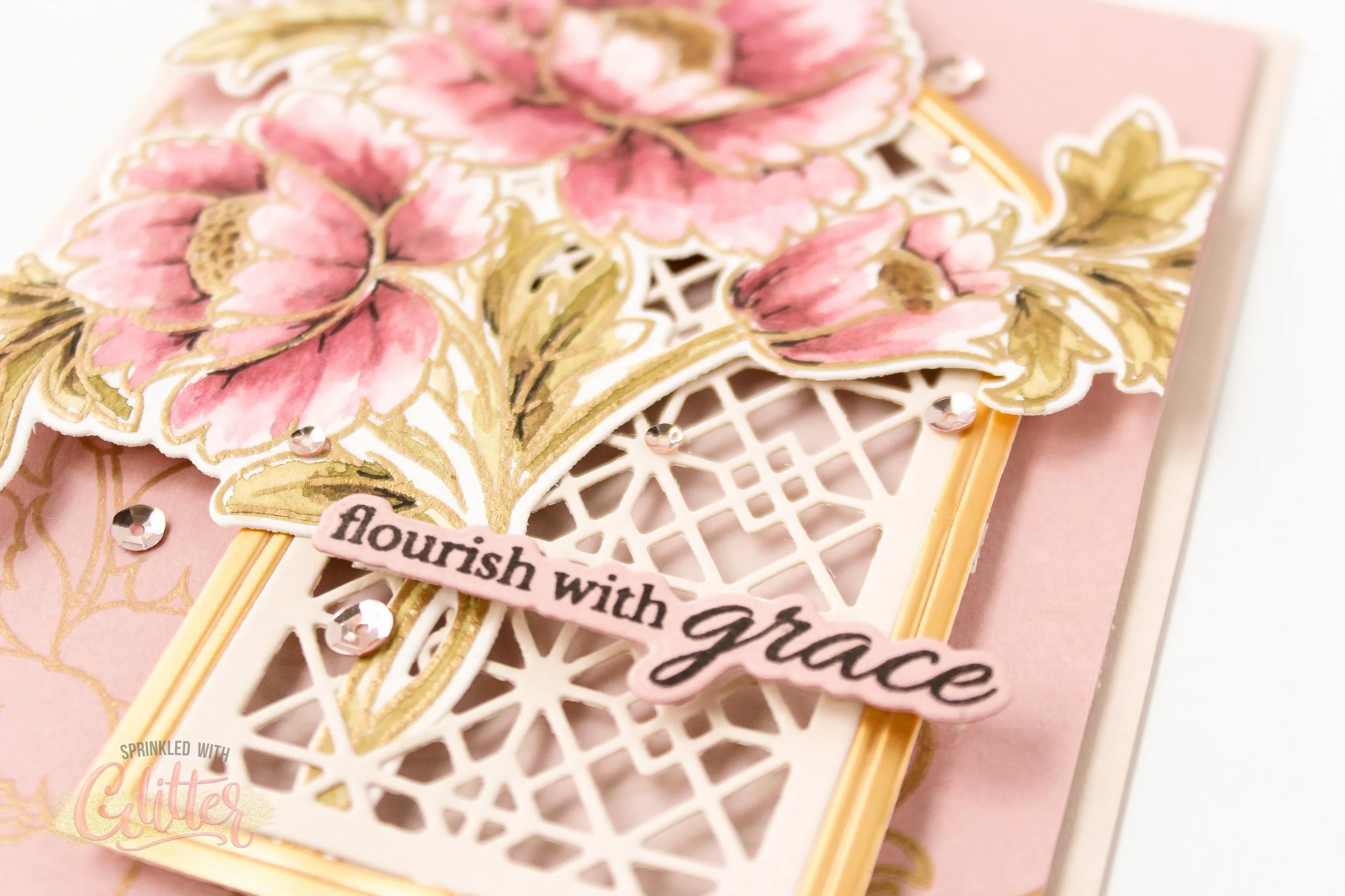 Alt Feb 26 Release WM-15.jpg