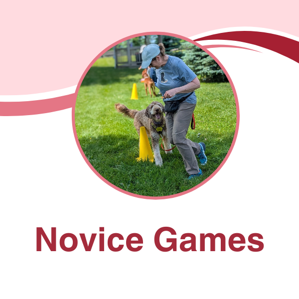 Novice Games Class,  July 5th