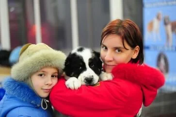 Puppies represent so much hope and the early days of a relationship reflect that hope for us all. Infatuation is part of what helps us to overlook the really difficult parts of learning to live with one another and it is an important stage, however …