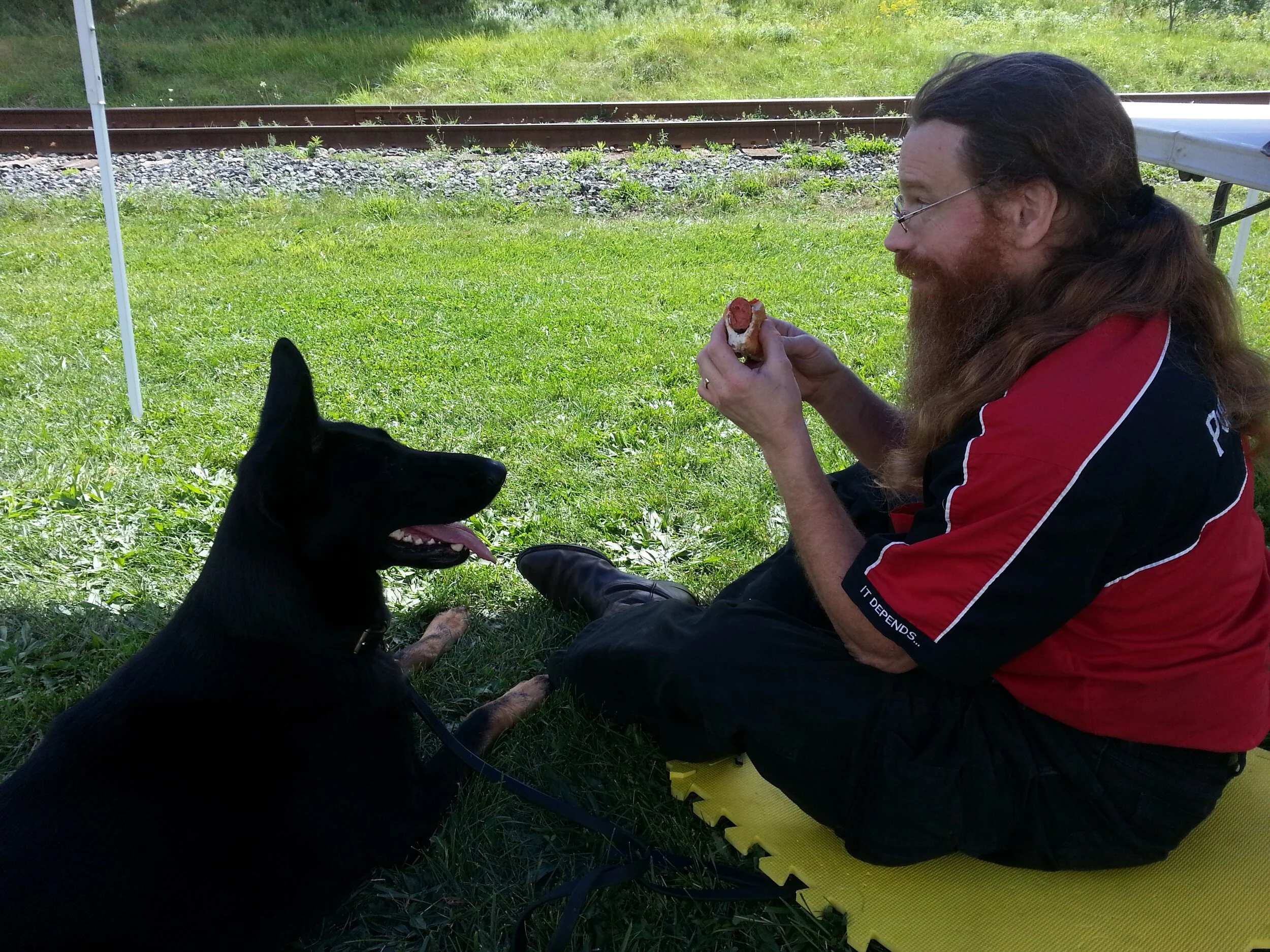 Self Control! — Dog Behaviour Training Dogs In the Park Guelph and Area