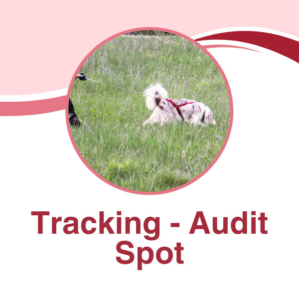 Tracking (1).png