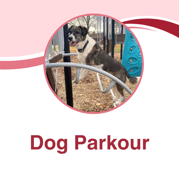 Parkour.png