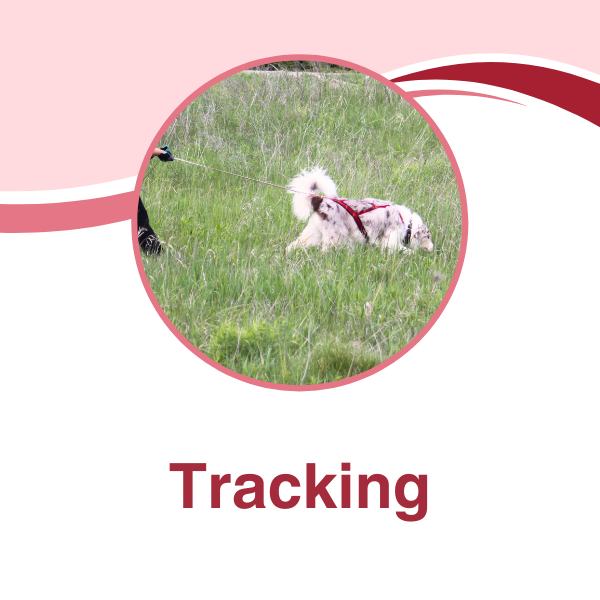 Tracking.png