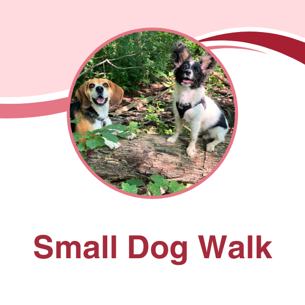 Small Dog Walk.png