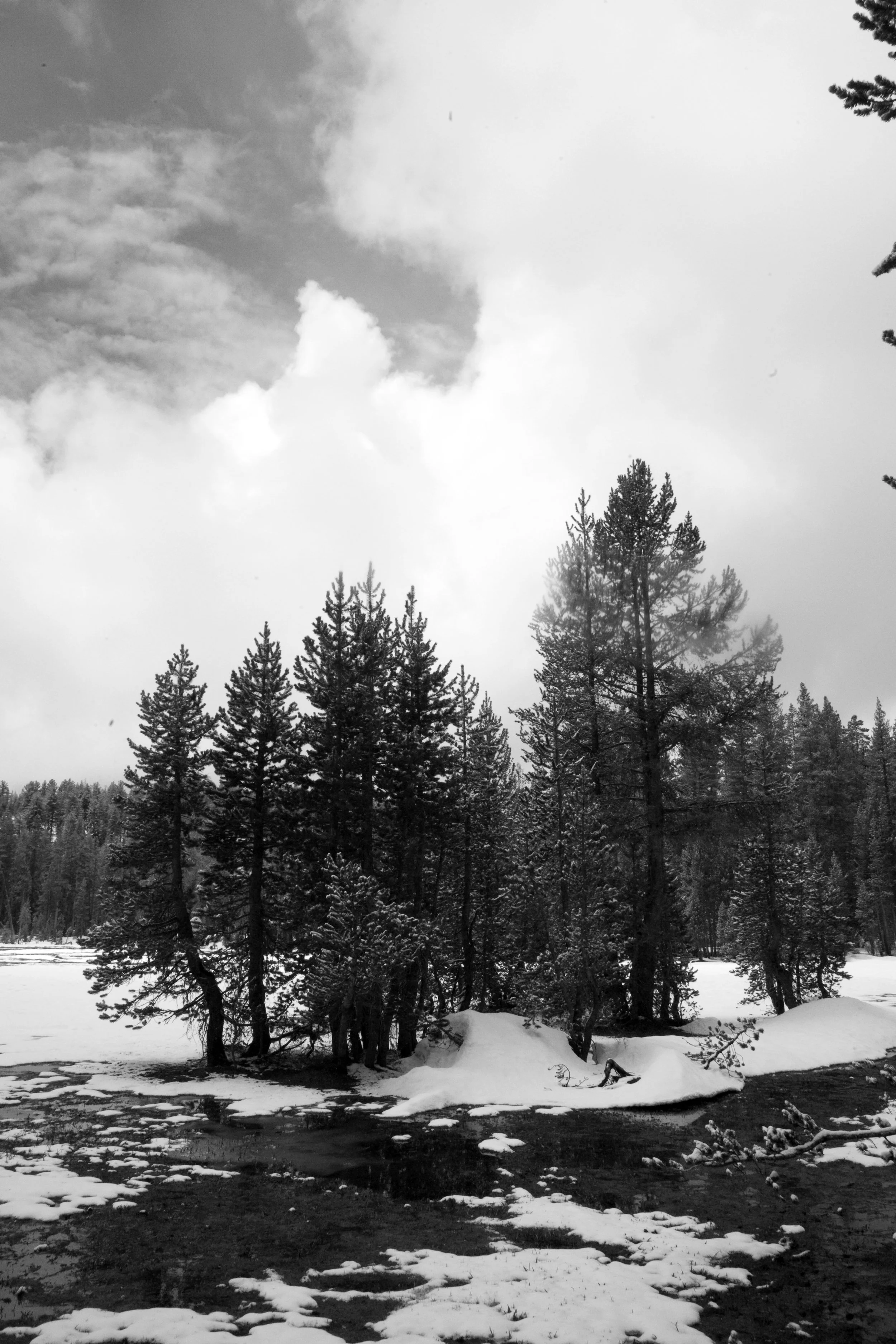 Snow.jpg