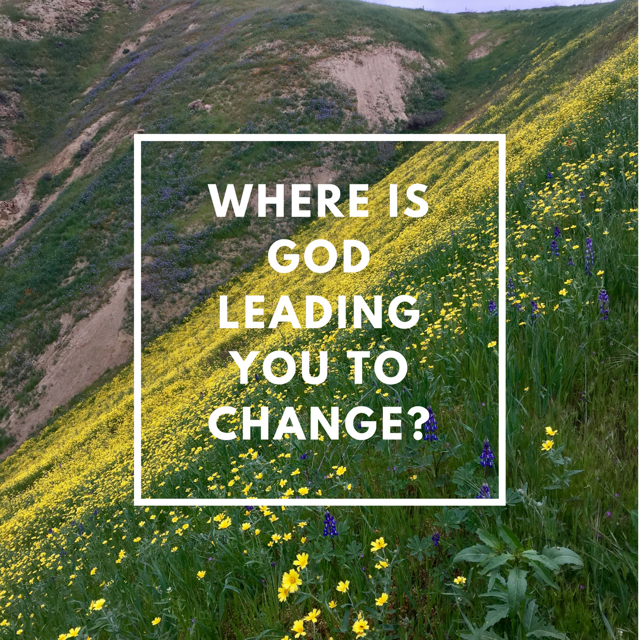 Four Big Questions: #1 Where Is God Leading Me To Change? — Unforced Rhythms