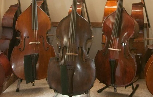 Apply now for a scholarship to attend the 2021 ISB Virtual Convention