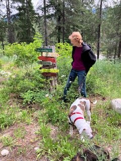 Which way should we go?