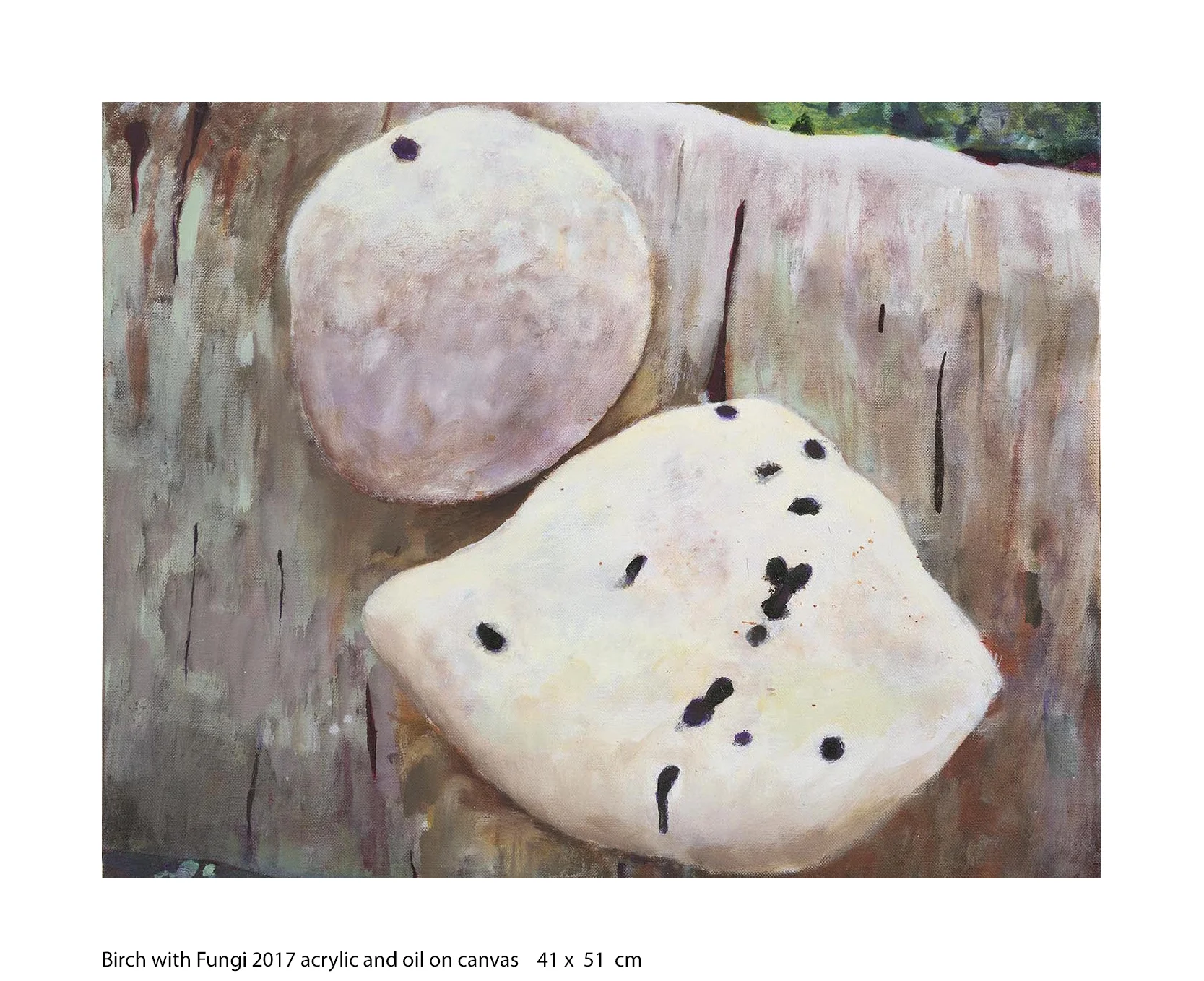 Birch with Fungi.jpg