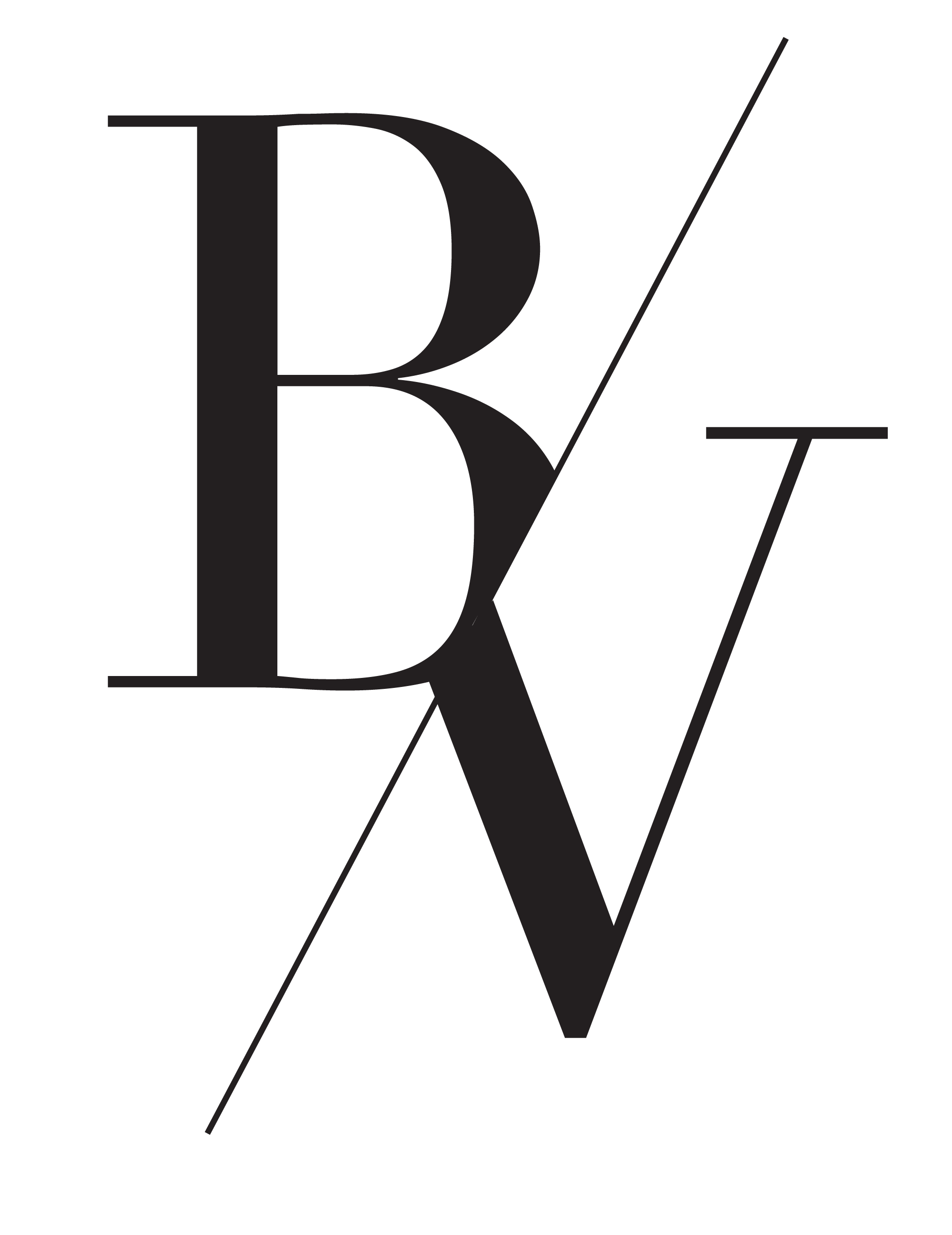 BV web sub logo.png