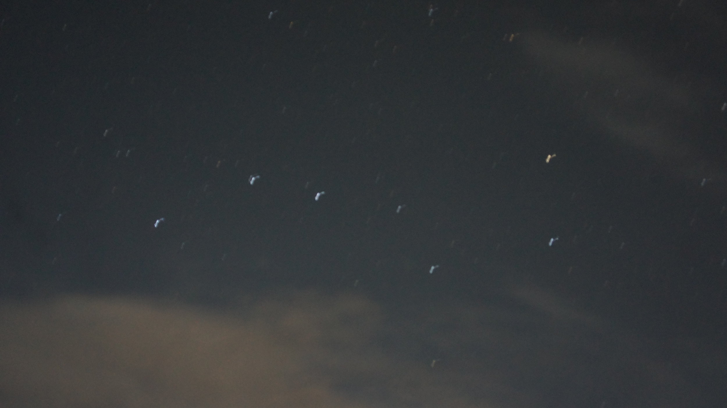 DSC01476.JPG