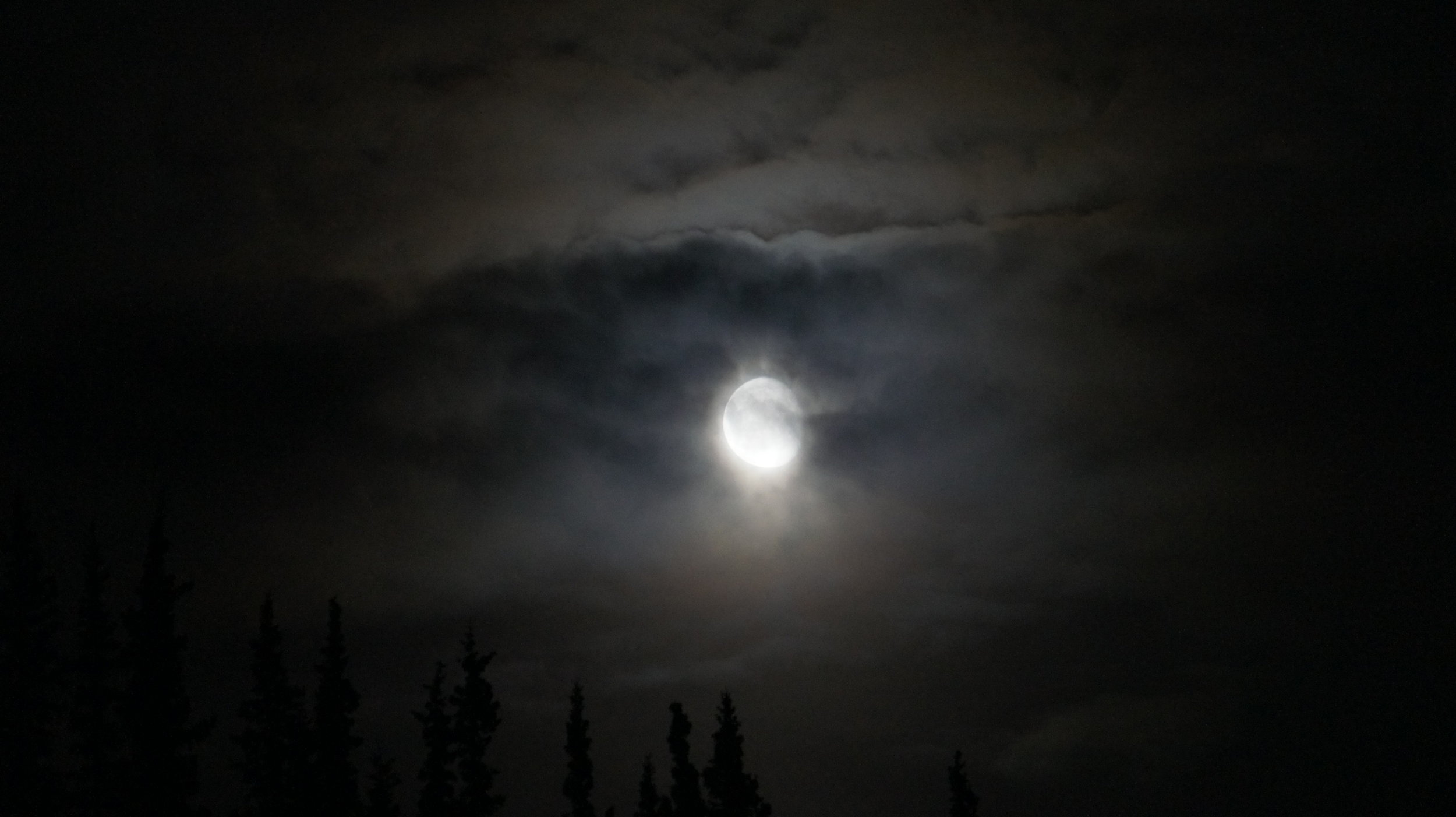 DSC01483.JPG