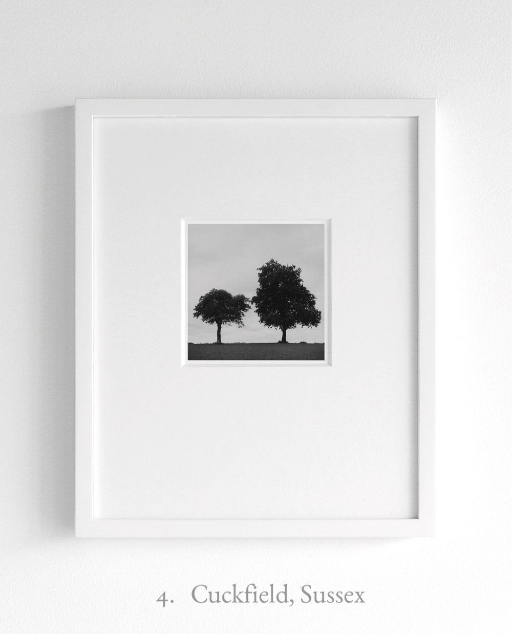 Distracted-Focus-04-Cuckfield.jpg