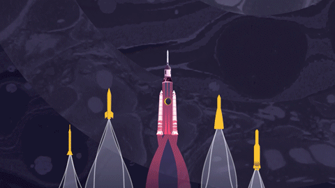 Launchable Explainer