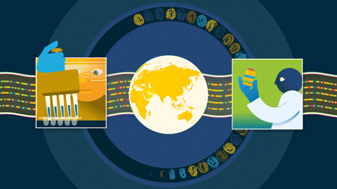 UCSC Pangenome Explainer