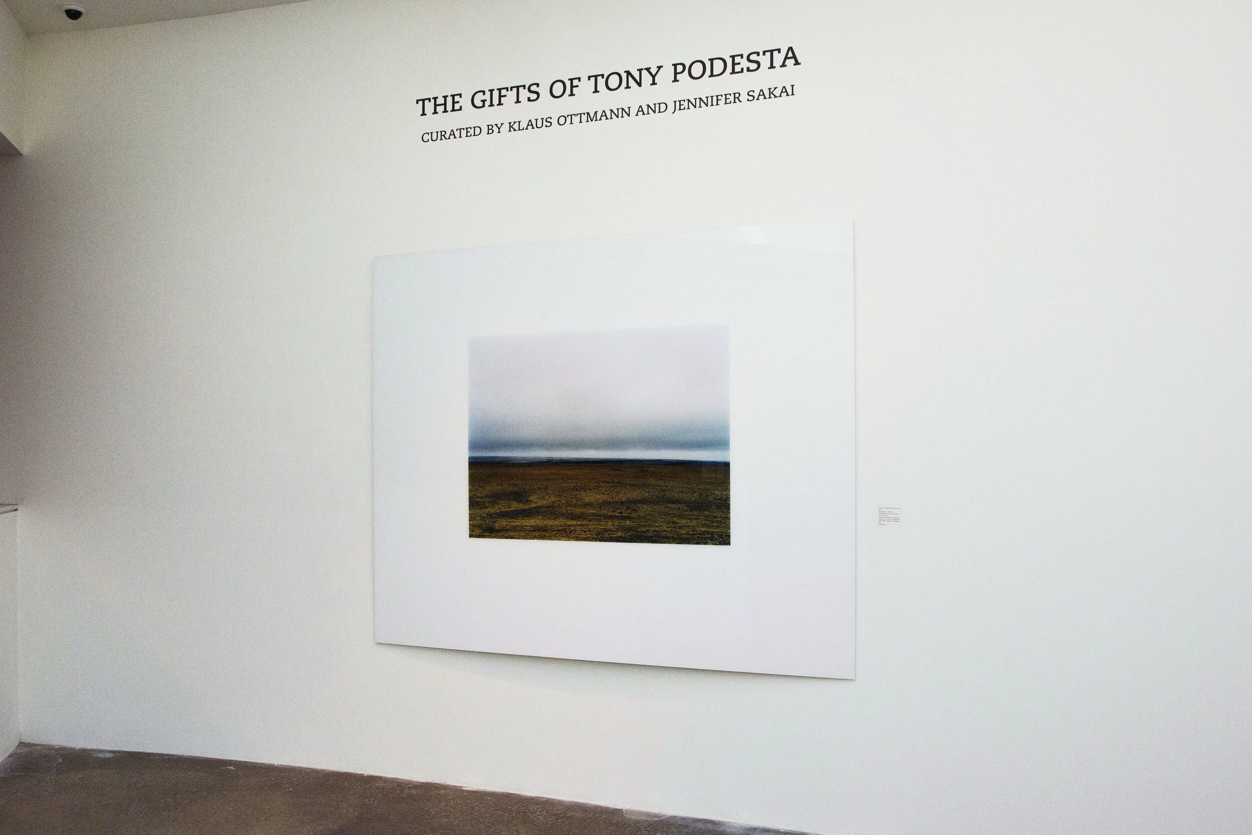 The Gifts of Tony Podesta | Jennifer Sakai, Curator