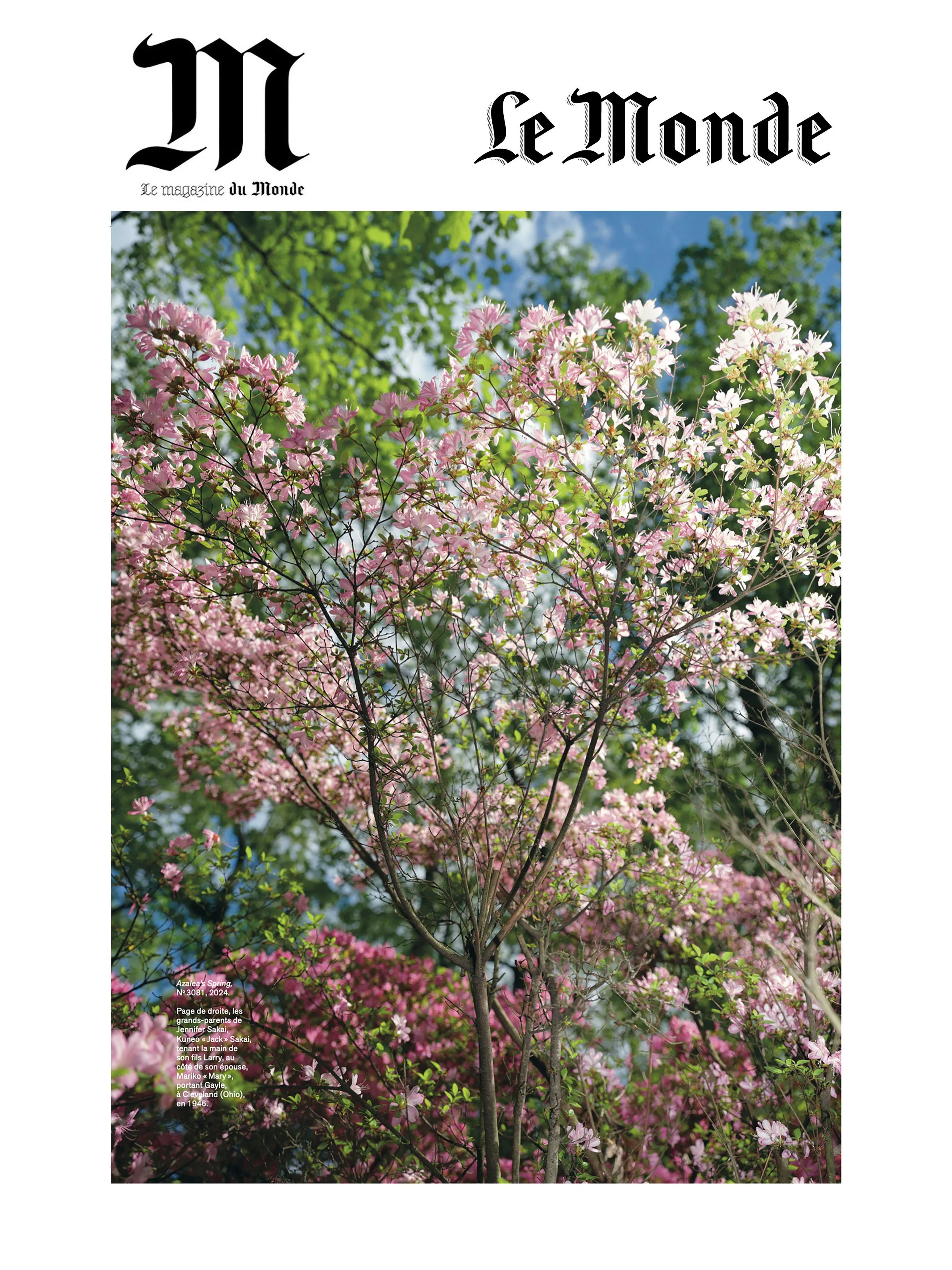 Portfolio Feature - M Magazine 